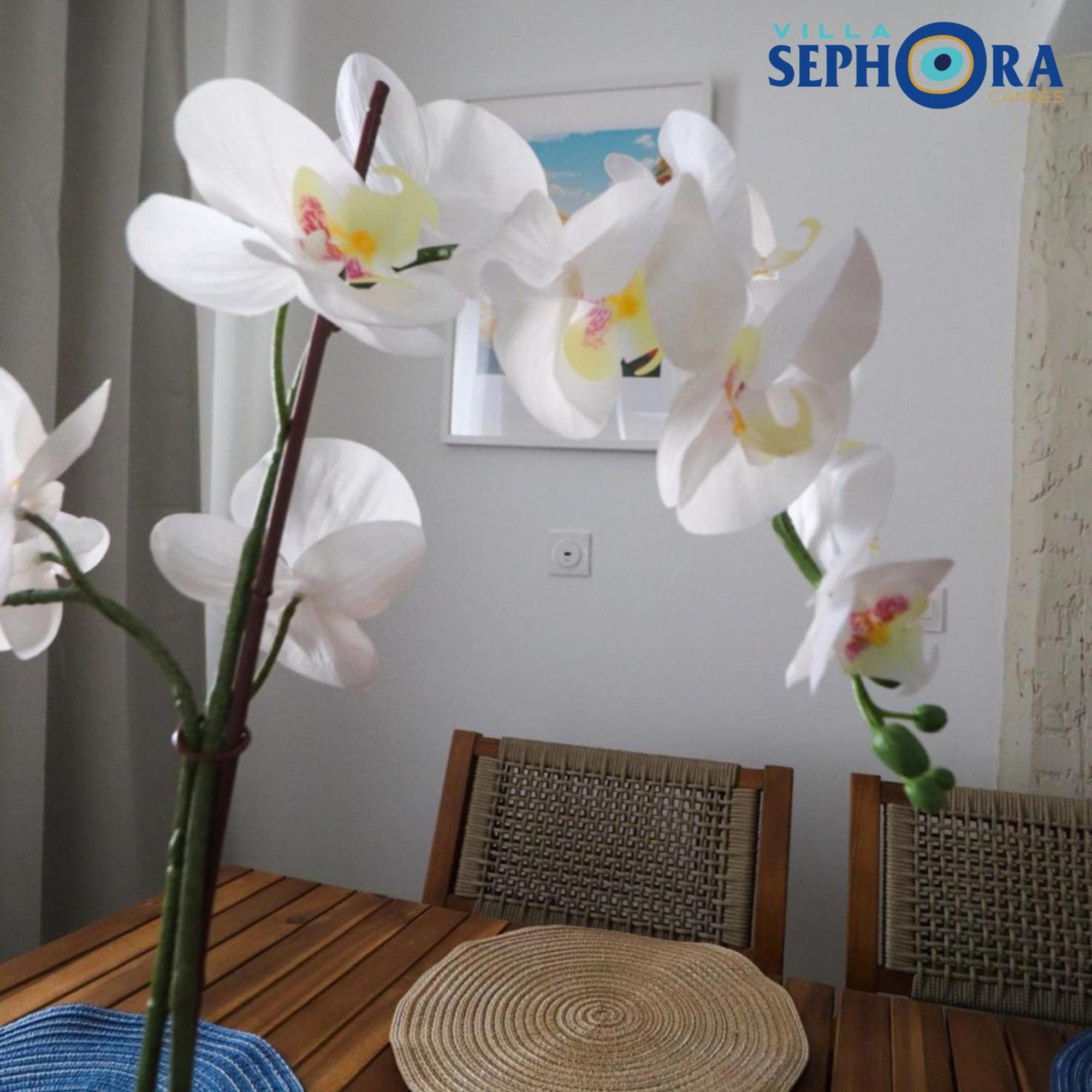 Villa Sephora Cannes Dış mekan fotoğraf